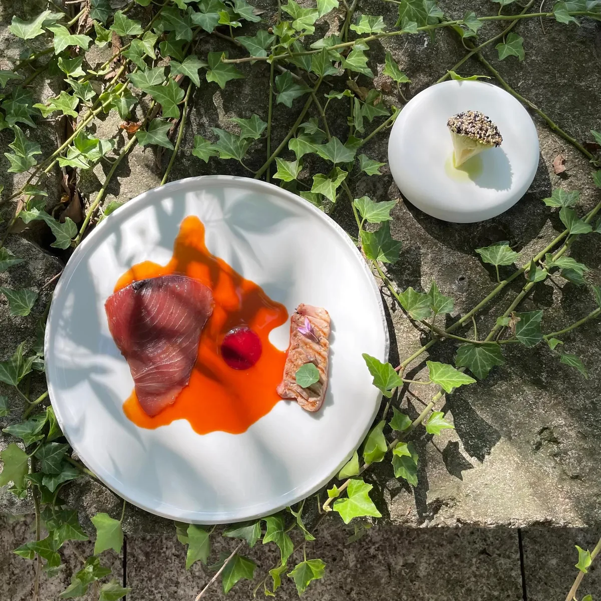 Assiette fleurie et sa sauce corail sur le lierre