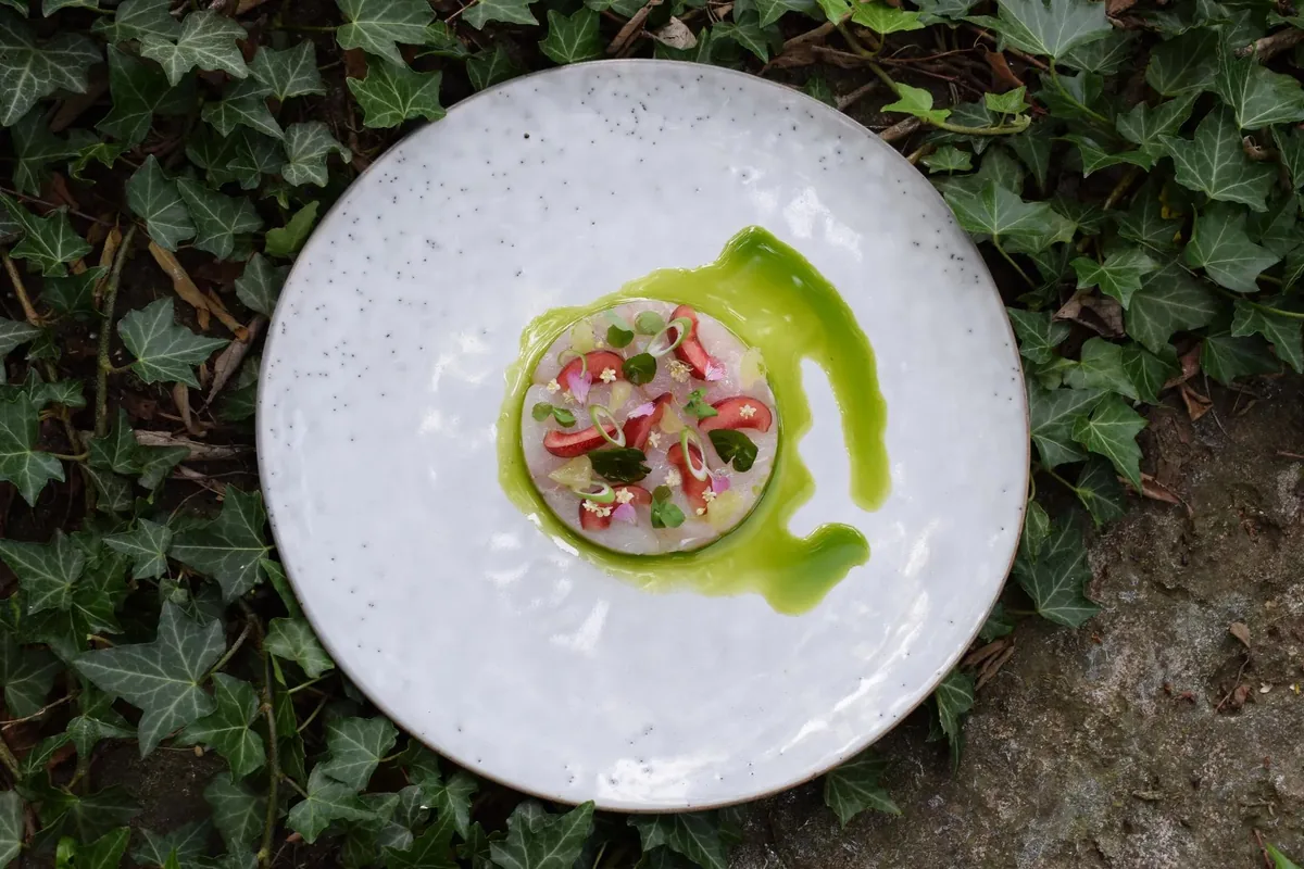 Assiette aux herbes du jardin et pétales
