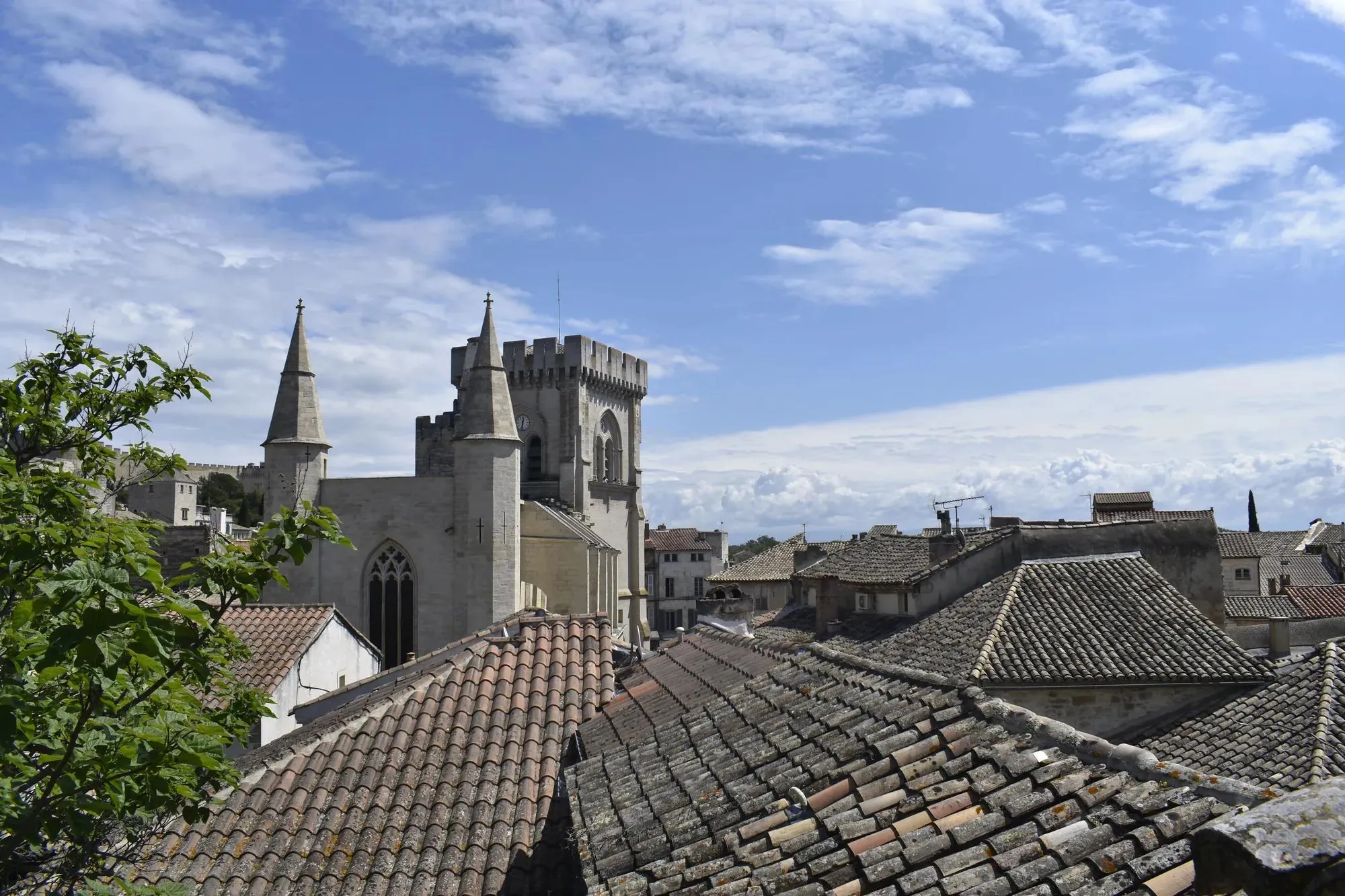 Les toits de Villeneuve-lès-Avignon et les clochers au loin