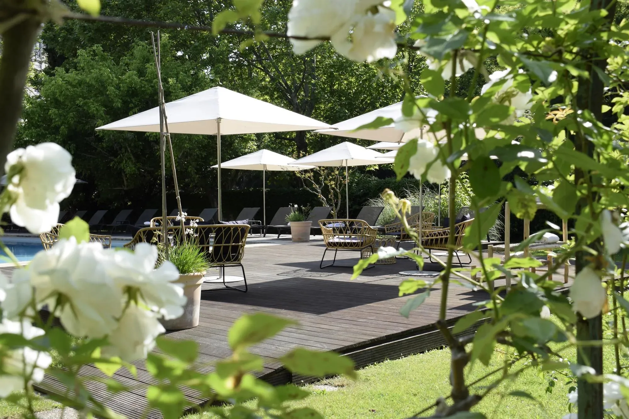 La piscine, ses parasols blancs et ses transats sur la terrasse en bois
