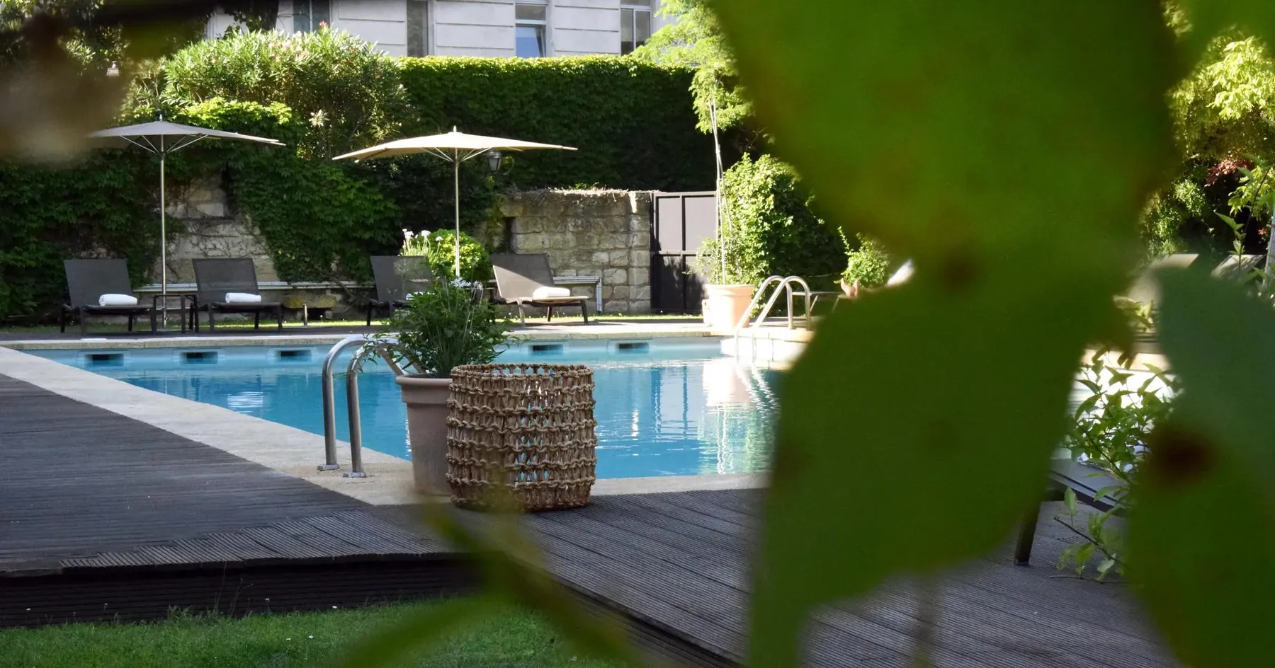 La piscine aperçue à travers le feuillage