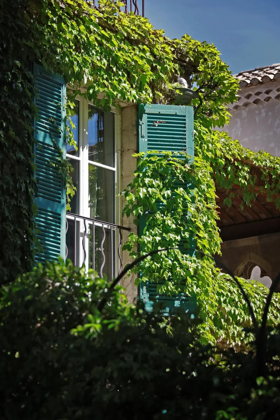 Volets verts et vigne vierge sur la façade